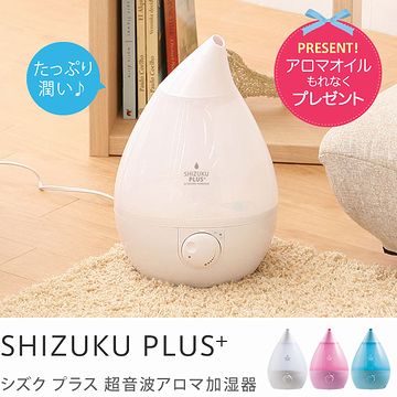 わたしもこのタイプを使ってます。新潟の冬でさえ、エアコン暖房では乾燥します。