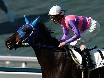 まるで競馬の騎手です