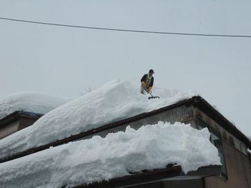 新潟県上越市。お年寄りに出来る作業ではありません。