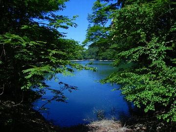 青池の話を忘れたのか?