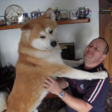ヨーロッパから、犬を連れた白人が来てたんじゃないでしょうか?