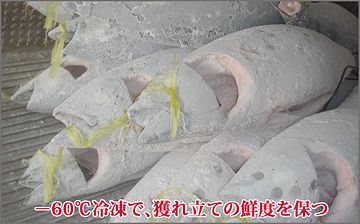 箱根の山中で放って置かれたら、たぶん凍死です