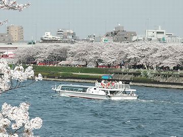 幅は、隅田川の2倍くらいかな