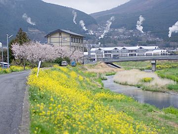 由布院・大分川に沿って歩む