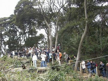 あと登るのは、『余部鉄橋』の展望台くらいですかね