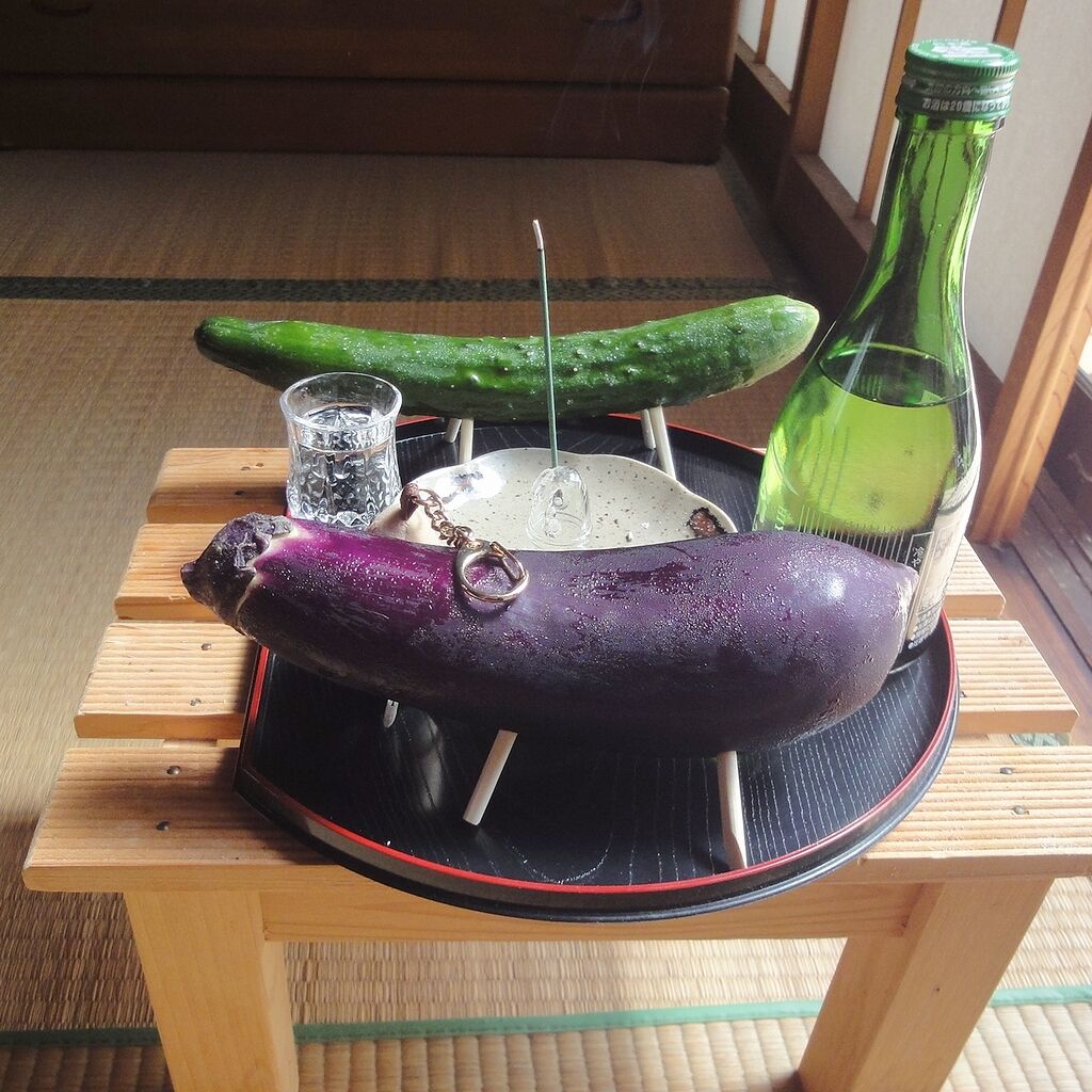 精霊馬・横から
