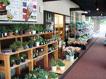 「天空館」2号店