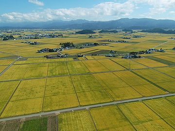 2004年、合併して美郷町となる直前の仙南村