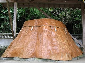 宇奈岐日女神社・切り株のアップ