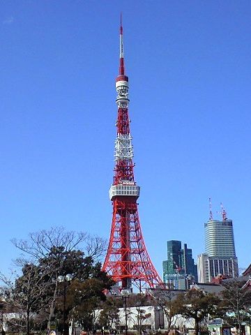 東京は、冬が一番お天気がいい季節なんだから