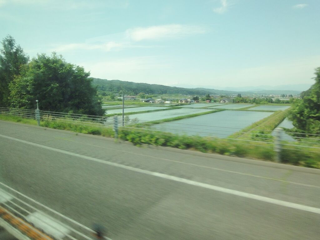美しき田園風景じゃ