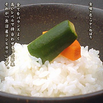 新潟県産のお米を食べたかった