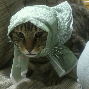 泥棒の手口