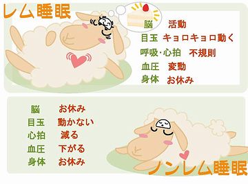 夢見てたら、しっかり睡眠が取れない