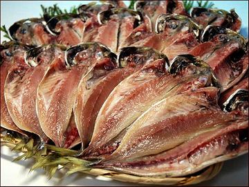 煮干しとか干物は、特にダメですね