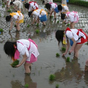 しつこいようですが、実に良かです。