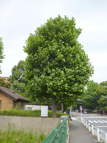 跨線橋をようやく渡り終えました