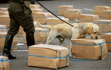 あなたみたいに、犬のような臭覚はございません