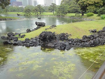 磯をイメージした石組み