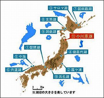 面積は、堂々の全国11位