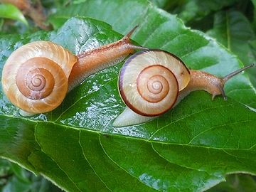 椅子から落ちて、目が回った