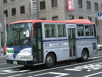新潟交通の中型バス。全長7メートル。『垂乳根イチョウ』の後ろに置けば、このバスはすっぽり隠れるということです。