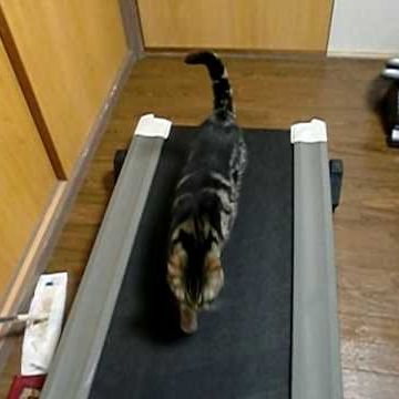 運動不足ですかね?