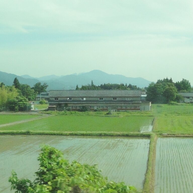 あれは、鶏舎じゃないのかな