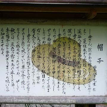 これが、西条八十の詩だったとは、初めて知りました