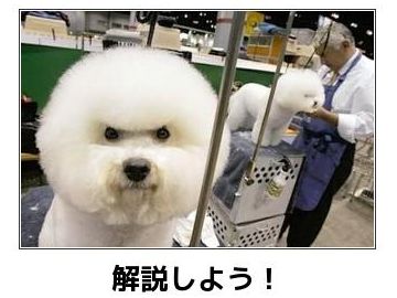 ブラキストン線について解説しよう