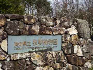 牧野植物園で、折って来たんだって?