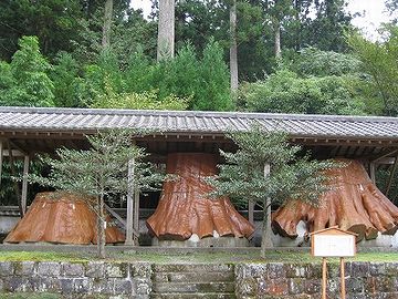 宇奈岐日女神社・切り株