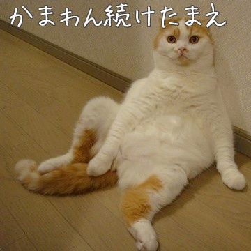 続けたまえ