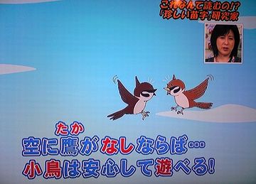 鷹が居ないから、小鳥が安心して遊べるわけよ