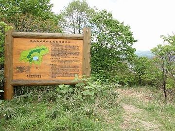 宇曾利山湖を一周する遊歩道