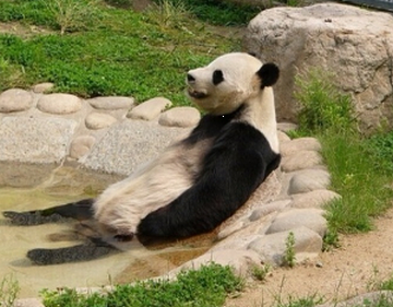 やる気ゼロ