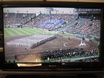 テレビ観戦で、勉強をサボる口実にもなったからさ
