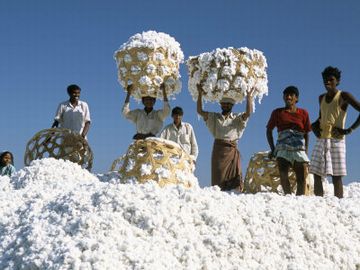 松林に綿の山なんて、隠しようが無いだろ