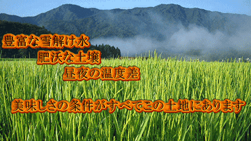 なぜ米が美味いか
