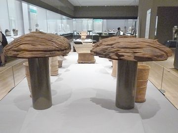 古墳時代のきのこ