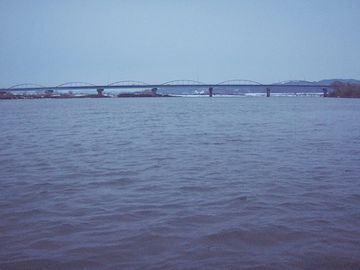 けっこう大きな川だね