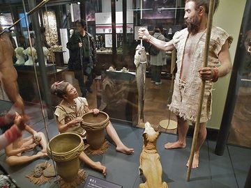 あなたの知能は、縄文人以下ね