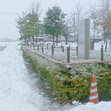 柵で囲う雪囲い