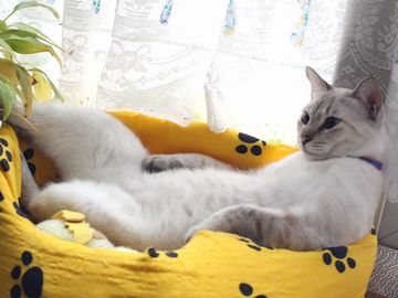 何でそんなに偉そうなんです?