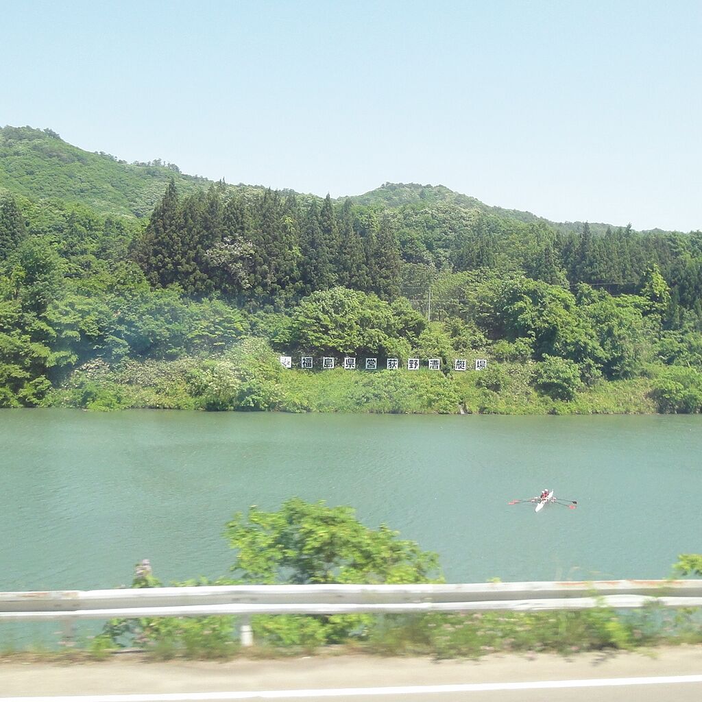 何か看板が出てる