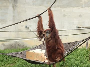 後ろのダンボールは、戦利品のようです