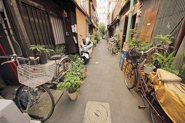 必ず植木鉢が並んでます