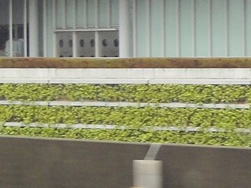 壁面の植栽がいいです