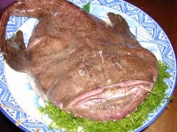アンコウ。これを見ると引きますが……。とろけるような味でした