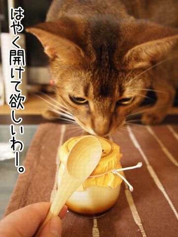 そんなにプリンがお好きなんですか?